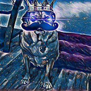 Meet your Posher, Tori